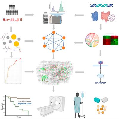 Critical roles of functional molecule metabolites